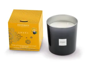 Ambre Refill Large Size Candle 450G