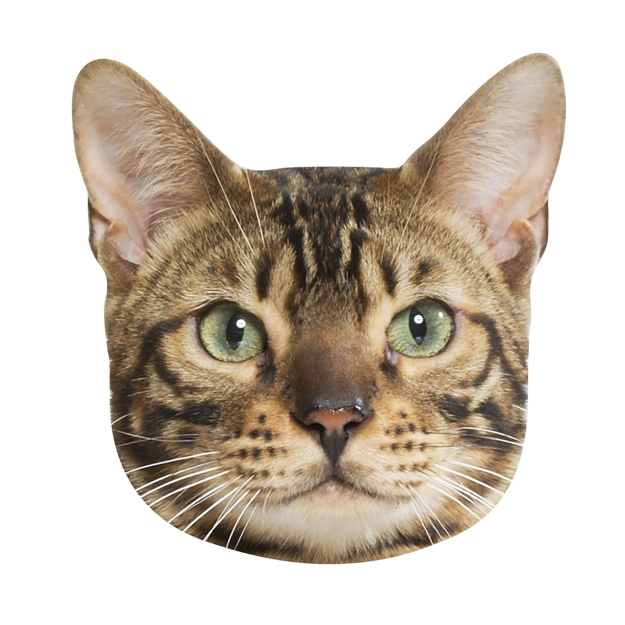 Animals: Bengal Cat Foam Core Cutout - Big Head