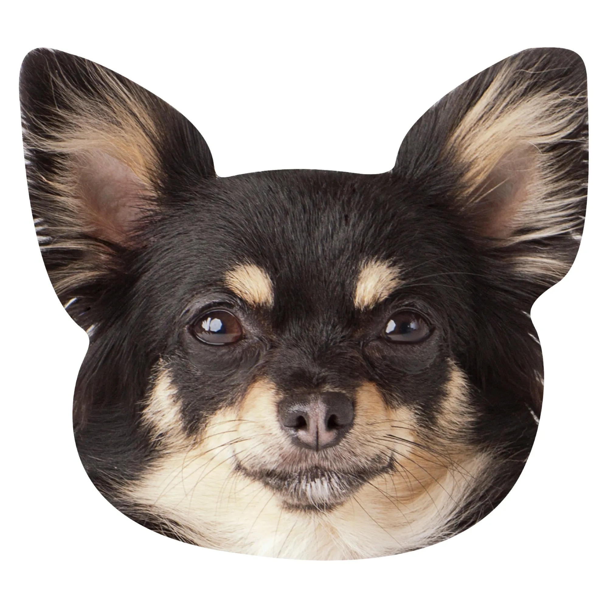 Animals: Chihuahua Foam Core Cutout - Big Head