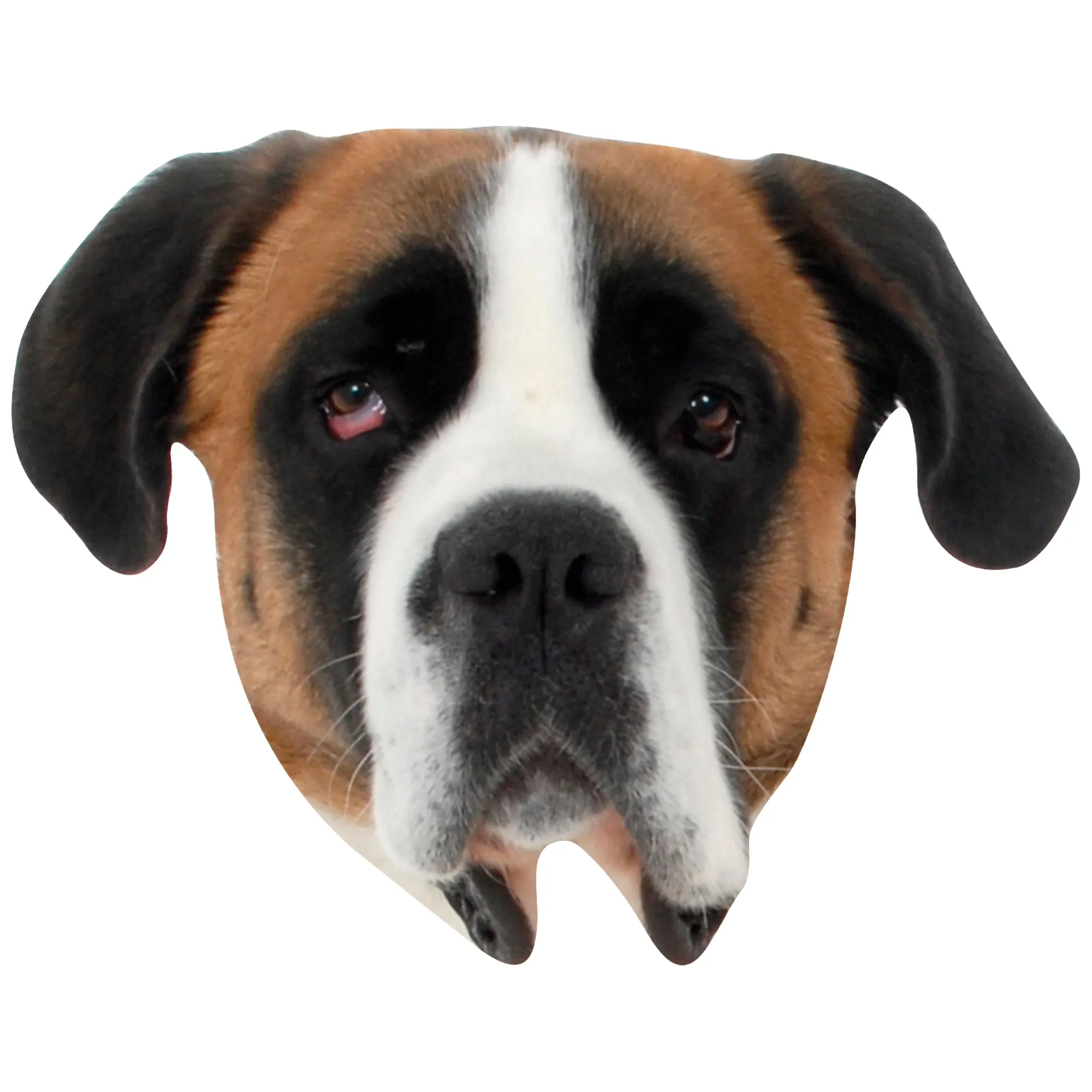 Animals: Saint Bernard Foam Core Cutout - Big Head