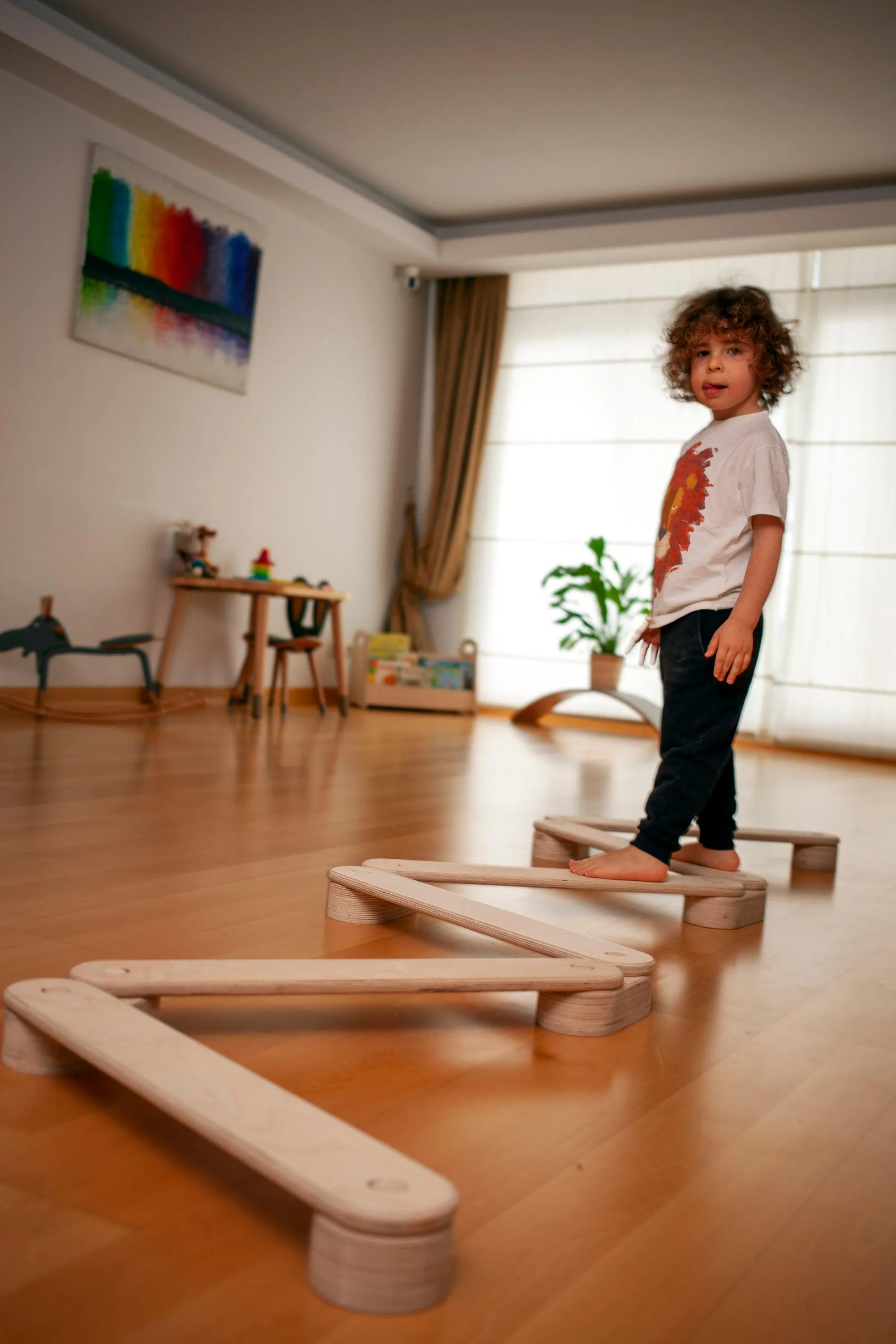 Balance Beam Set