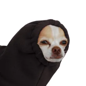 Chihuahua Hood