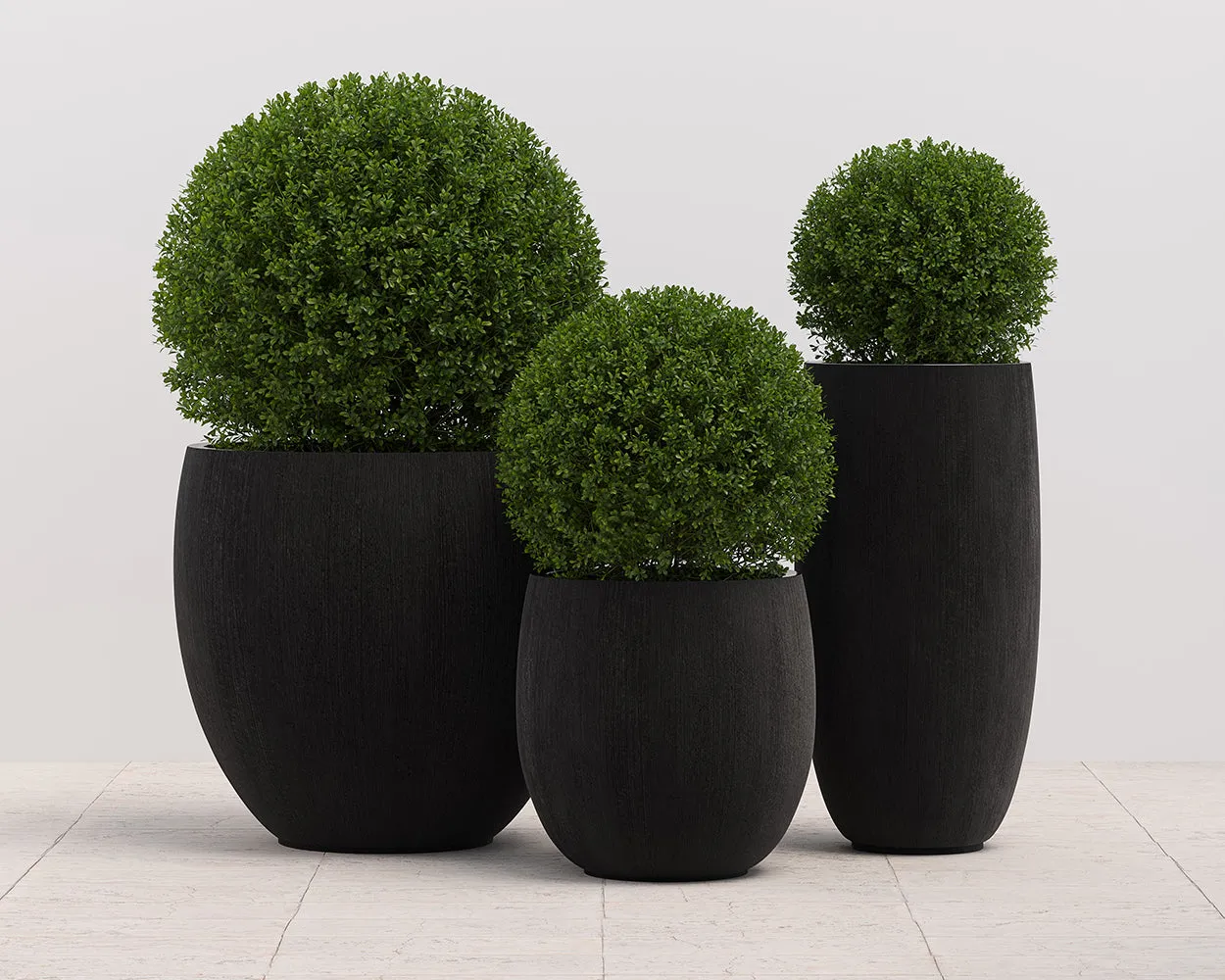 Coleus Planter - Small - Round