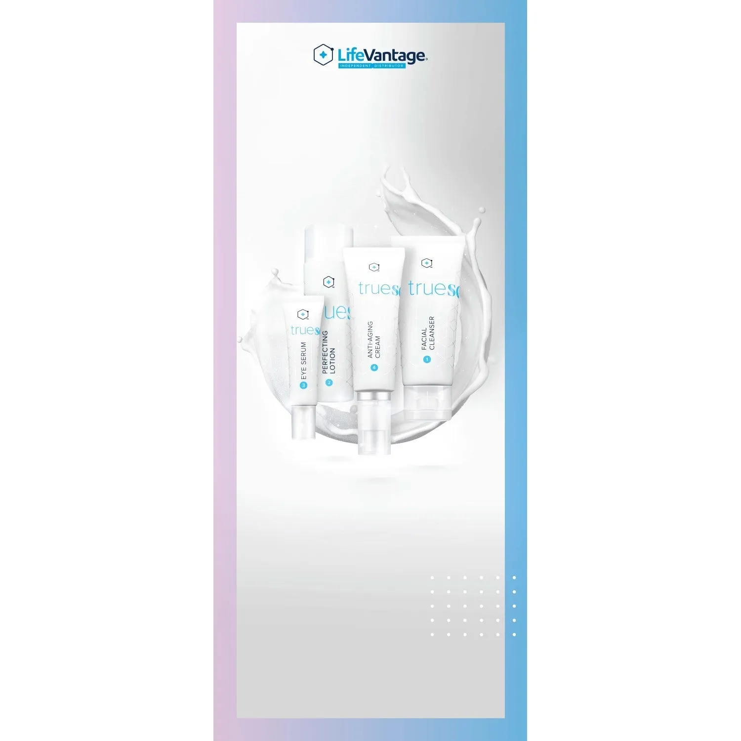 Full Size Pull Up Banner Kit