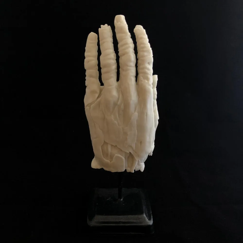 Hand of Glory