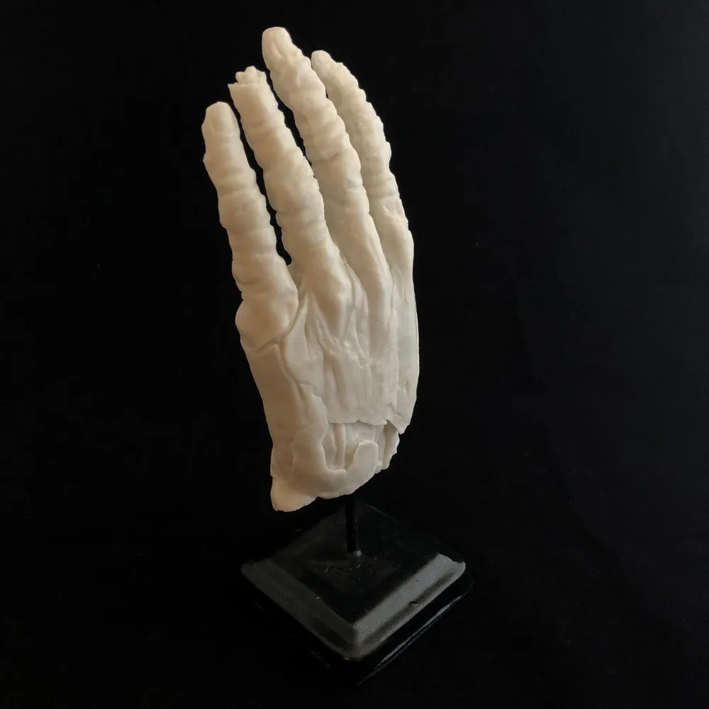 Hand of Glory