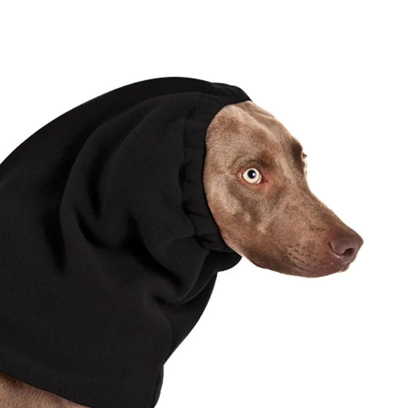 Weimaraner Hood